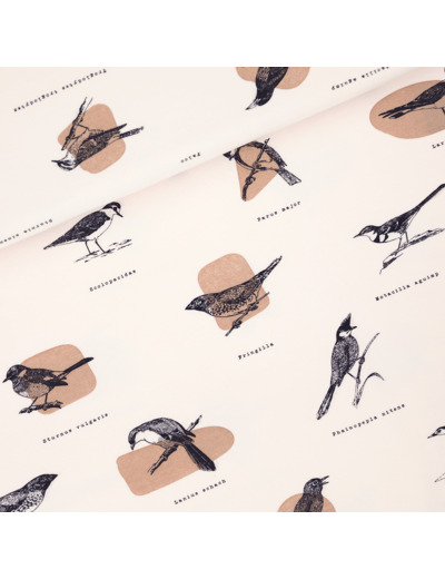 See You at Six - Tissu French Terry de Coton Imprimé "Ornithology" sur le Fond Légèrement Beige (Copy)
