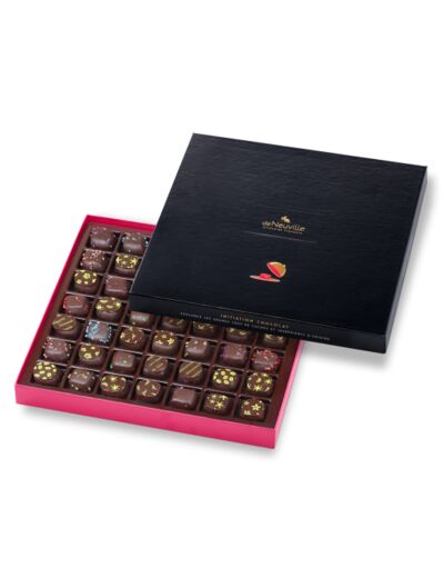 Coffret Initiation 49 chocolats noirs 490g - Collection Initiation Chocolat