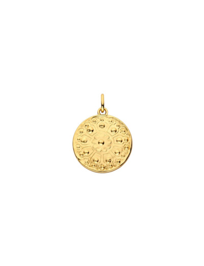 Médaille Arthus Bertrand en vermeil