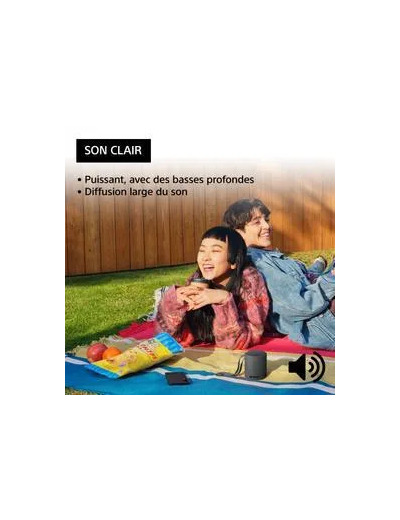 Enceinte sans fil bluetooth Ultra portable Sony SRS-XB100 Noir