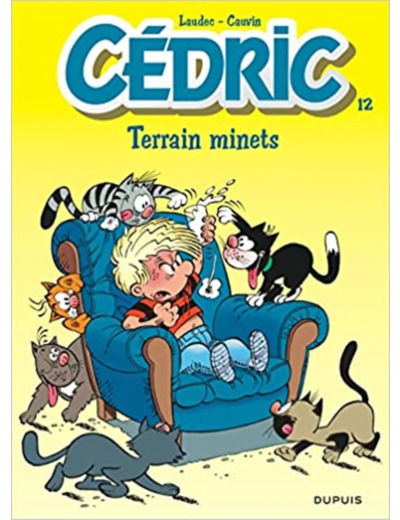 Livre Terrain minets t12