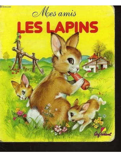 Livre Mes Amis les Lapins
