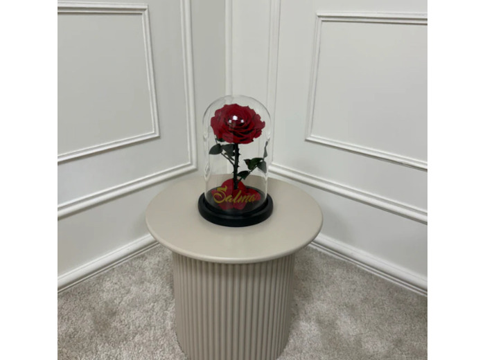 Cloche XL 1 rose