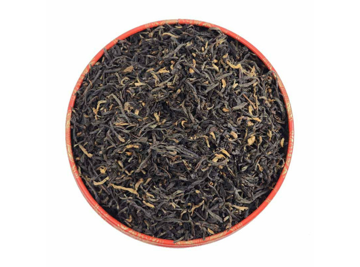 MOKALBARI T.G.F.O.P.