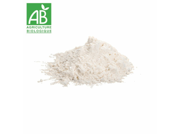 Farine de châtaigne - 100g