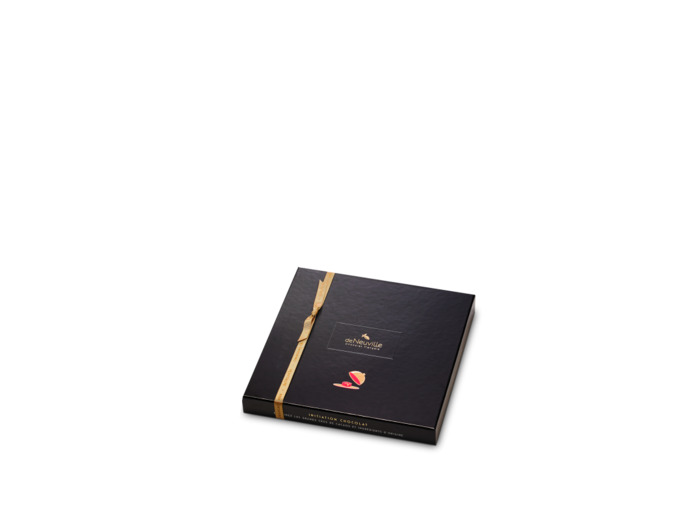 Coffret Initiation 16 chocolats noirs 160g net - Collection Initiation Chocolat