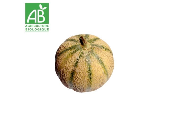 Melon charentais x 1