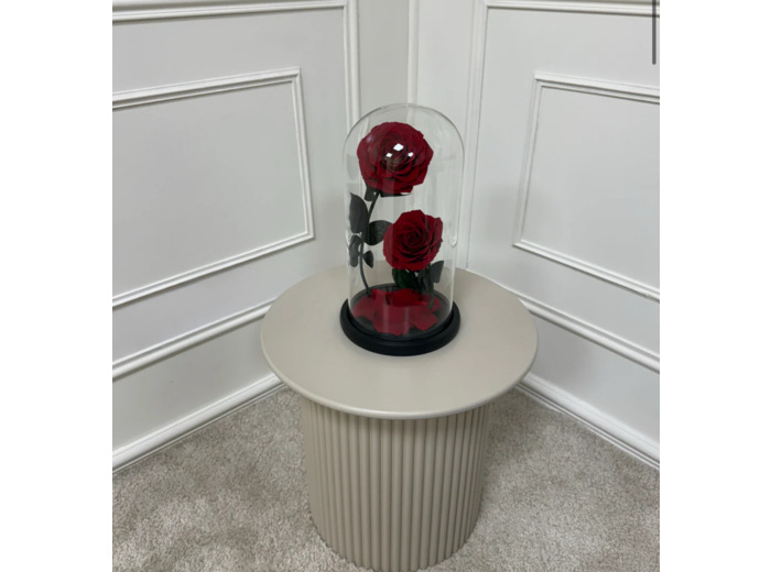 Cloche XL 2 roses