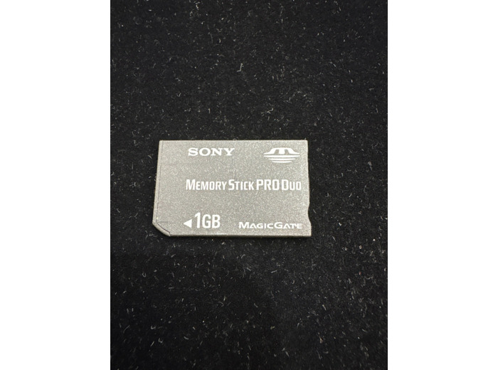 Sony Memory Stick Pro Duo 1 Go