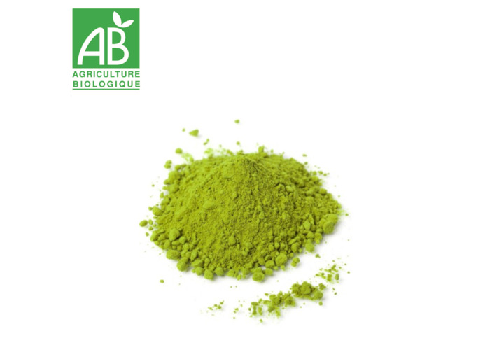 Thé Matcha Japonais