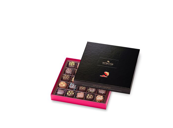 Coffret Initiation 25 chocolats noirs et lait 250g net - Collection Initiation Chocolat