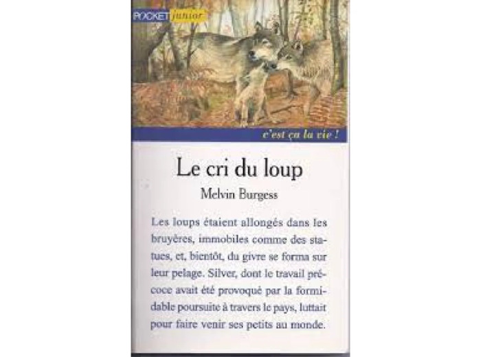 Livre Le Cri Du Loup
