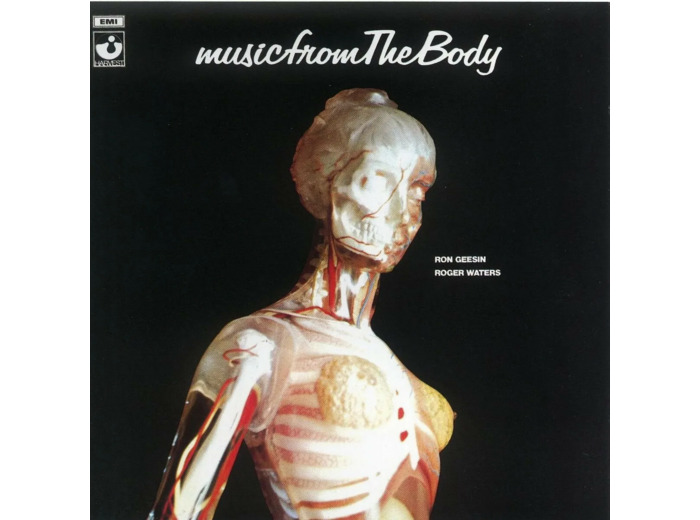 Cd Ron Geesin - Music From The Body