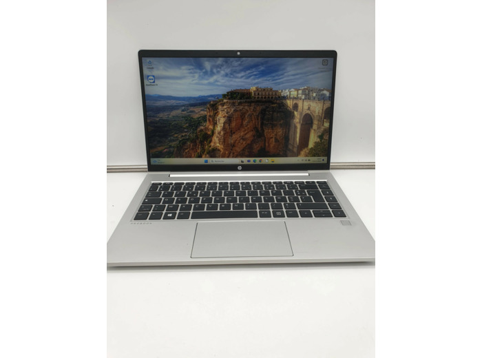 Ordinateur Portable HP Probook 445 G8