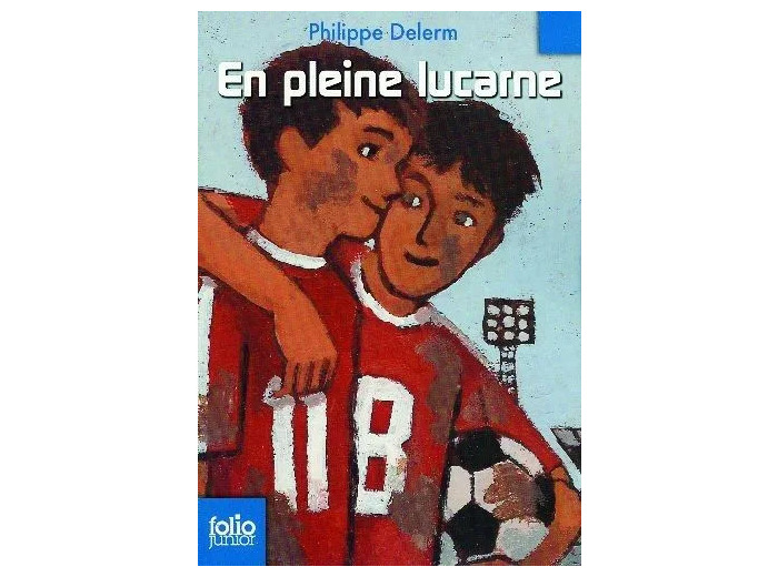 Livre EN PLEINE LUCARNE