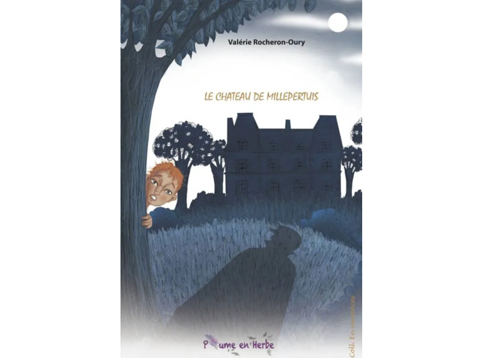 Livre Le château de Millepertuis