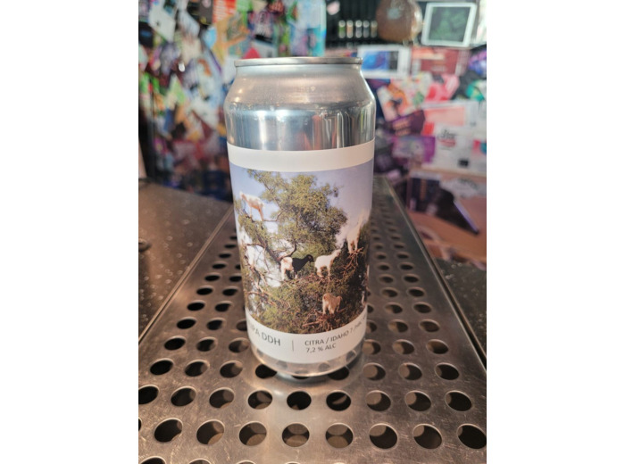 NEIPA DDH citra/idaho 7/hbc 586