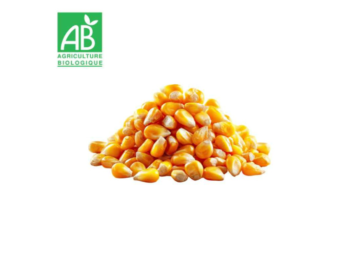 Maïs pop corn - 100g