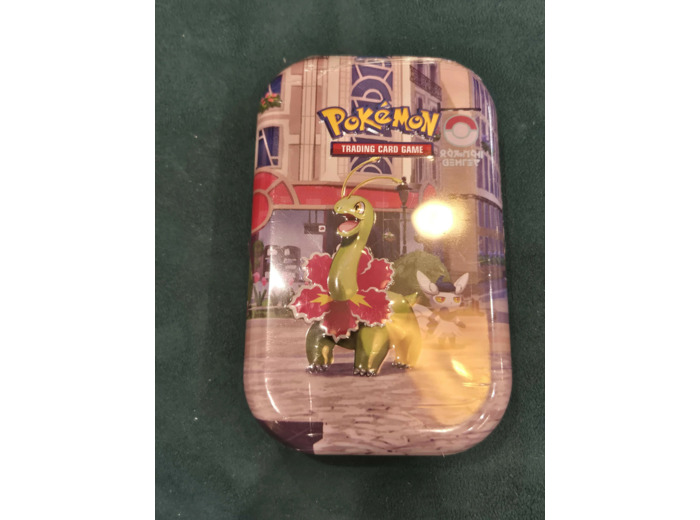 Pokémon : Mini-boîte Illumis – Méganium et Mistigrix