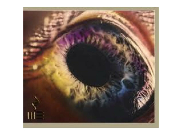 Cd We - Album