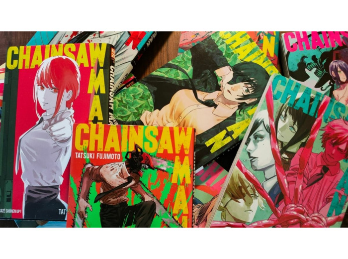 Collection manga Chainsaw Man Tome 1 à 14 ( occasion )