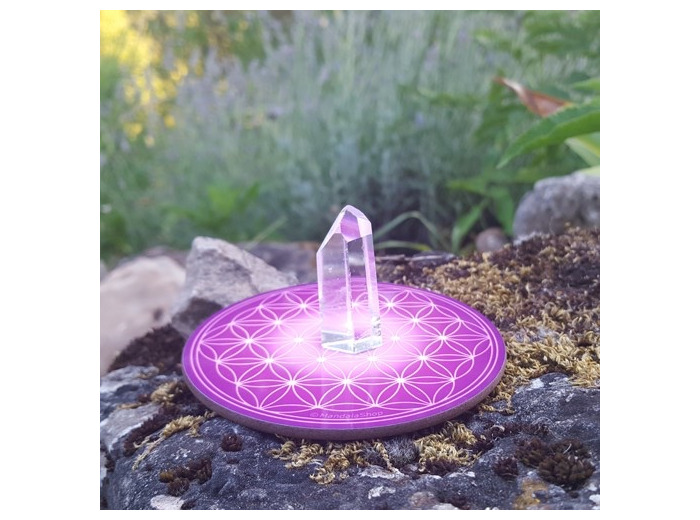 Disque harmonisant fleur de vie - chakra coronal