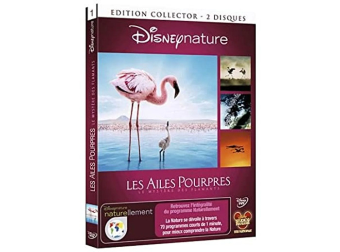 Dvd Les Ailes pourpres : le mystère des flamants - Édition Collector
