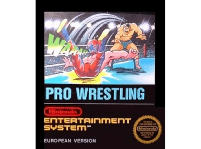 Jeu Nes Pro Wrestling
