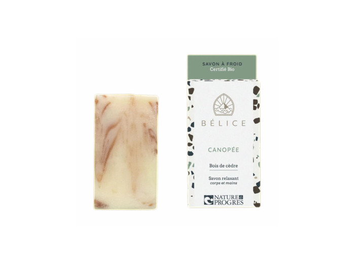 Bélice - Canopée