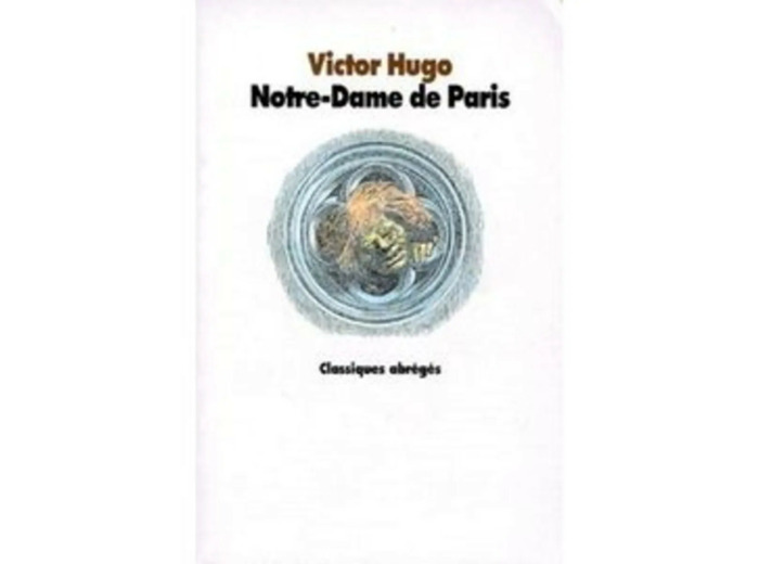Livre Notre - Dame De Paris