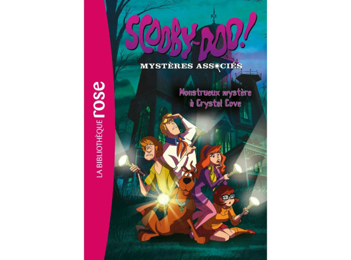 Livre scooby doo mystere associes