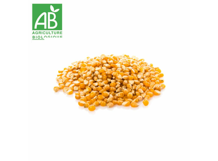 Maïs pop corn - 100g