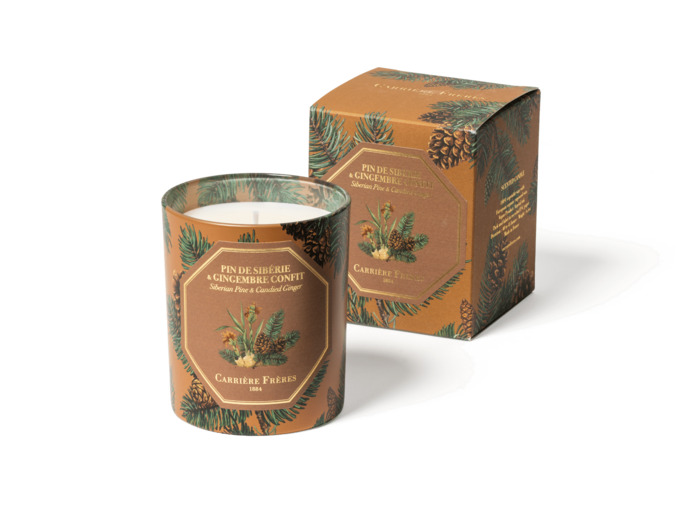 Bougie Parfumée Pin Gingembre