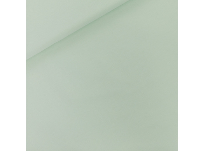 See You at Six - Tissu French Terry Coton Uni Couleur Verre Vert Clair