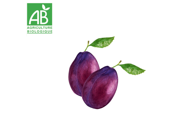 Prunes rouges - 500g