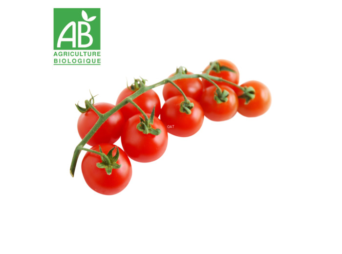 Tomates rondes en grappe - 500g