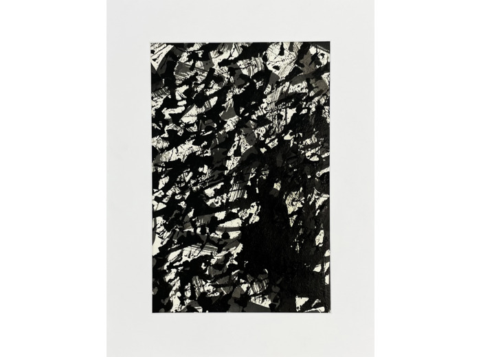 P231207A - Encre de chine sur papier - 30x40 cm