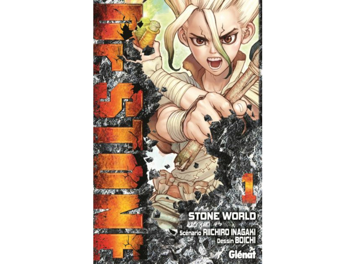 Collection Manga Dr Stone Tome 1 à 22 occasion