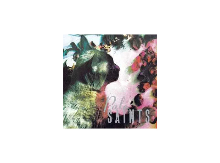 Cd Pale Saints - The Comforts Of Madness (1990)