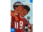 Livre EN PLEINE LUCARNE