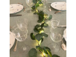 Guirlande Led Eucalyptus