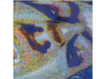 Cd Zooropa