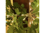 Guirlande Led  Bouquet
