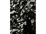 P231207A - Encre de chine sur papier - 30x40 cm