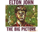 Cd The Big Picture