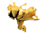 [figurine] NARUTO SHIPPUDEN VIBRATION STARS UZUMAKI NARUTO Ⅵ