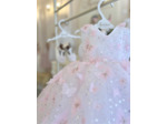 Dress Rose Butterfly