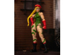 [FIGURINE] Street Fighter - JADA TOYS - Cammy