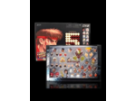 [PRECOMMANDE] Street Fighter 2 - You Lose Accessory Face Pack  Exclusive Limited (SEPT / OCT 2026)