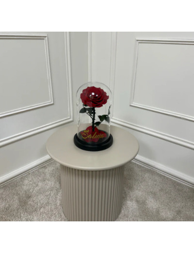 Cloche XL 1 rose